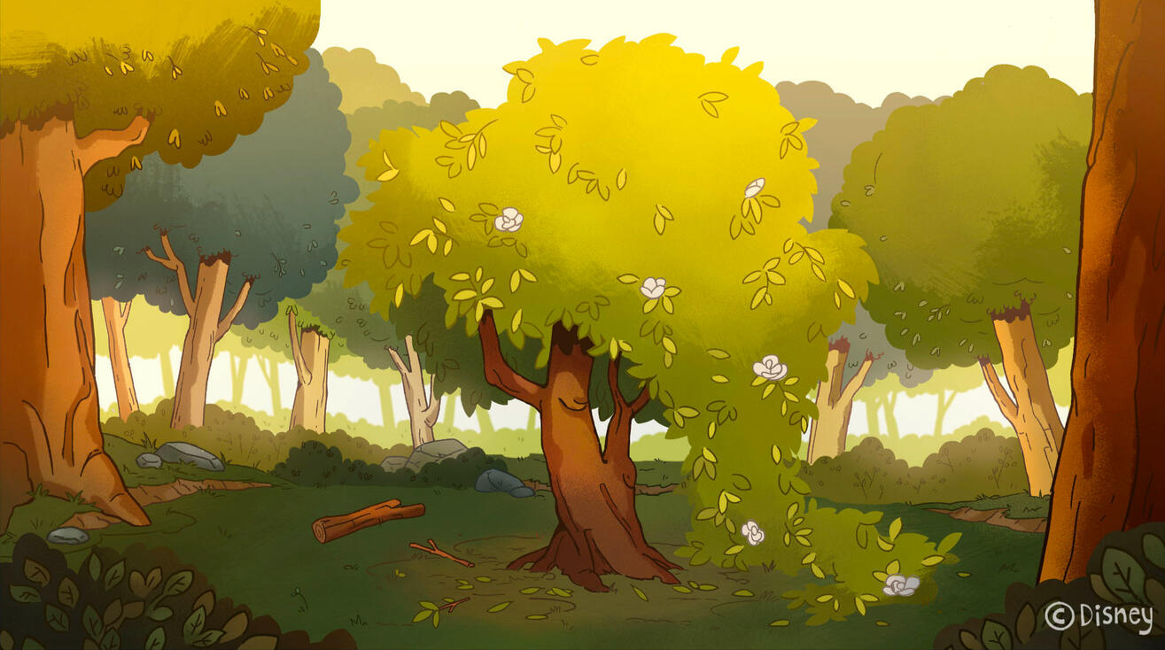 ✦